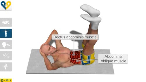 Abdominales en 8 minutos