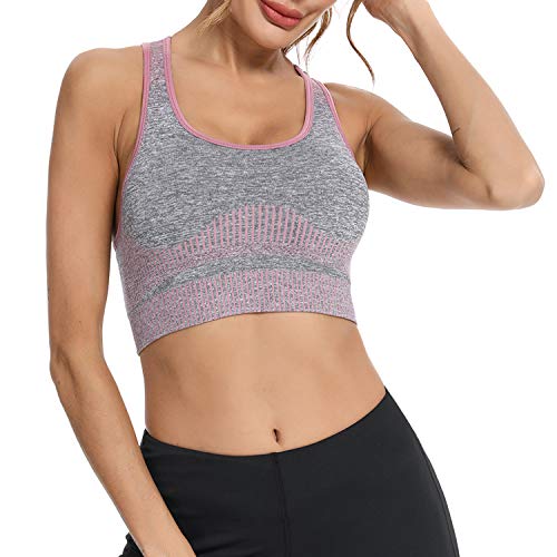 Abollria Sujetador Deportivo para Mujer Sujetador de Sujeción Fuerte Cómoda Banda Elástica Almohadilla para el Pecho Desmontable, Chaleco Clásico sin Anillo de Acero, Yoga, Pilates, Fitness Abollria Sujetador Deportivo para Mujer Sujetador de Sujeción Fuerte Cómoda Banda Elástica Almohadilla para el Pecho Desmontable, Chaleco Clásico sin Anillo de Acero, Yoga, Pilates, Fitness
