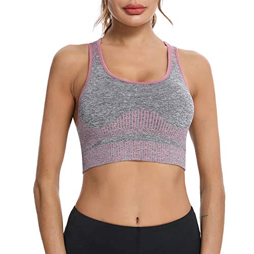 Abollria Sujetador Deportivo para Mujer Sujetador de Sujeción Fuerte Cómoda Banda Elástica Almohadilla para el Pecho Desmontable, Chaleco Clásico sin Anillo de Acero, Yoga, Pilates, Fitness Abollria Sujetador Deportivo para Mujer Sujetador de Sujeción Fuerte Cómoda Banda Elástica Almohadilla para el Pecho Desmontable, Chaleco Clásico sin Anillo de Acero, Yoga, Pilates, Fitness