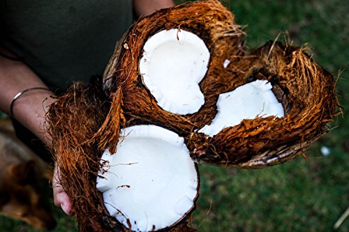 Aceite de Coco CocoNativo Orgánico Virgen Extra Ecologico 1x1000 ml, Extracción En Frío, Fuente De Energía Natural Para Deportistas, Suplemento Alimenticio, Para Cocinar, Para El Pelo