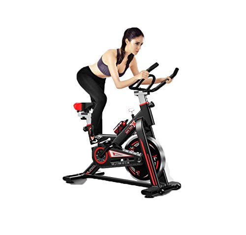 Acobonline Bicicleta Estatica Spinning Fitness, Bicicleta Profesional para Uso domestico,con Monitor,Calidad Profesional (Negro)