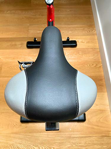 ACTIVOGYM SP350, Bicicleta Indoor Spinning, Volante de Inercia 13 Kg. Profesional. Marca Española de Calidad