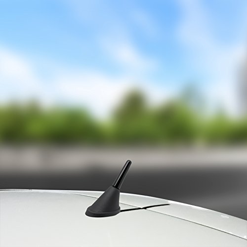 Adapter Universe Antena de varilla corta de 3 cm de techo + base de antena Raku 2 zócalo con amplificador de 16 V Set para universal – Auto Antena Radio