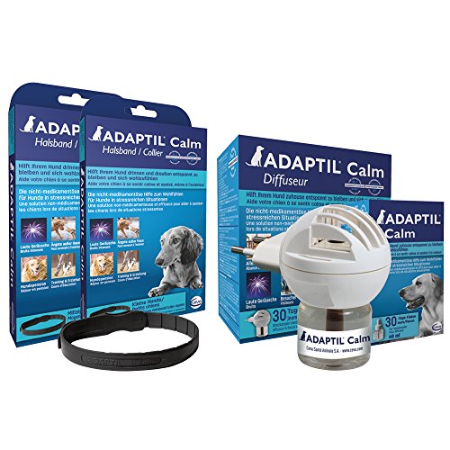 ADAPTIL Calm - Antiestrés para perros - Miedos, Ruidos Fuertes, Aprendizaje, Adopción - Collar S para Perros Pequeños