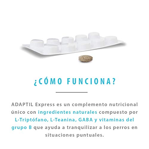 ADAPTIL Express - Tranquiliza a los perros de forma rápida - Tormentas, Fuegos artificales, Petardos, Fiestas, Viajes, Miedos, Visitas al veterinario - Caja de 10 comprimidos