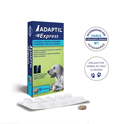 ADAPTIL Express - Tranquiliza a los perros de forma rápida - Tormentas, Fuegos artificales, Petardos, Fiestas, Viajes, Miedos, Visitas al veterinario - Caja de 10 comprimidos