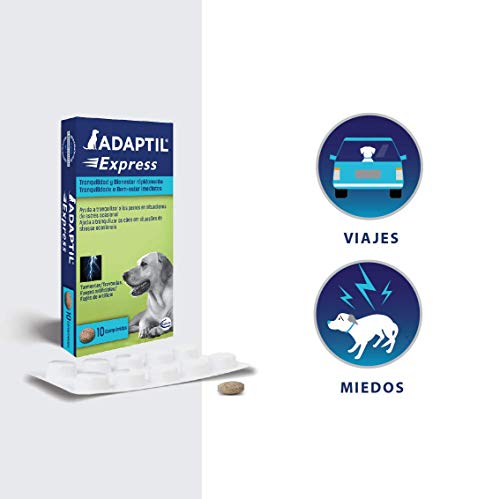 ADAPTIL Express - Tranquiliza a los perros de forma rápida - Tormentas, Fuegos artificales, Petardos, Fiestas, Viajes, Miedos, Visitas al veterinario - Caja de 10 comprimidos