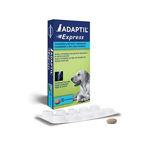 ADAPTIL Express - Tranquiliza a los perros de forma rápida - Tormentas, Fuegos artificales, Petardos, Fiestas, Viajes, Miedos, Visitas al veterinario - Caja de 10 comprimidos