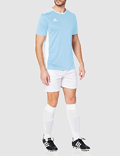 adidas Entrada 18 JSY T-Shirt, Hombre, Bold Blue/White, L adidas Entrada 18 JSY T-Shirt, Hombre, Bold Blue/White, L