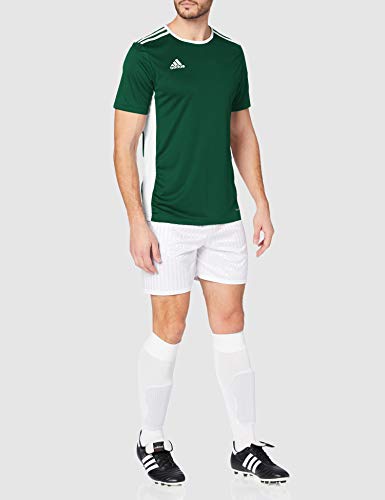 adidas Entrada 18 JSY T-Shirt, Hombre, Collegiate Green/White, XL