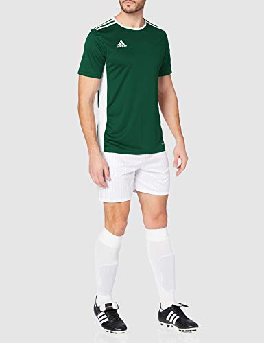 adidas Entrada 18 JSY T-Shirt, Hombre, Collegiate Green/White, XL adidas Entrada 18 JSY T-Shirt, Hombre, Collegiate Green/White, XL