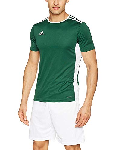 adidas Entrada 18 JSY T-Shirt, Hombre, Collegiate Green/White, XL adidas Entrada 18 JSY T-Shirt, Hombre, Collegiate Green/White, XL
