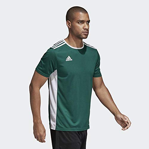 adidas Entrada 18 JSY T-Shirt, Hombre, Collegiate Green/White, XL adidas Entrada 18 JSY T-Shirt, Hombre, Collegiate Green/White, XL