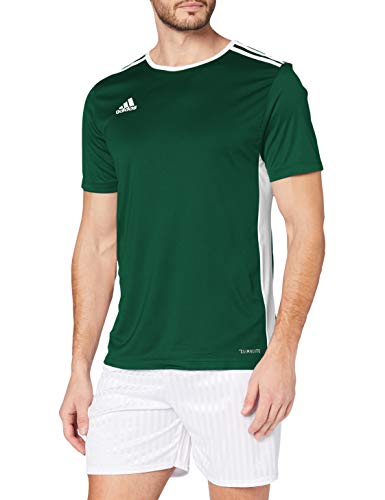 adidas Entrada 18 JSY T-Shirt, Hombre, Collegiate Green/White, XL adidas Entrada 18 JSY T-Shirt, Hombre, Collegiate Green/White, XL