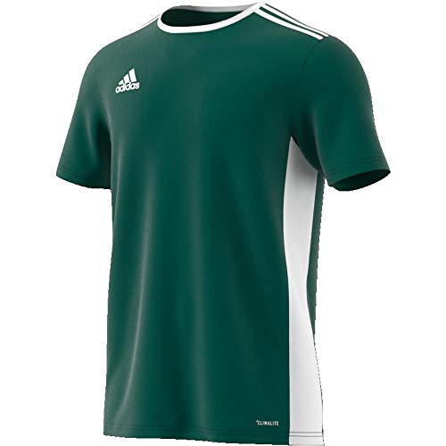 adidas Entrada 18 JSY T-Shirt, Hombre, Collegiate Green/White, XL adidas Entrada 18 JSY T-Shirt, Hombre, Collegiate Green/White, XL