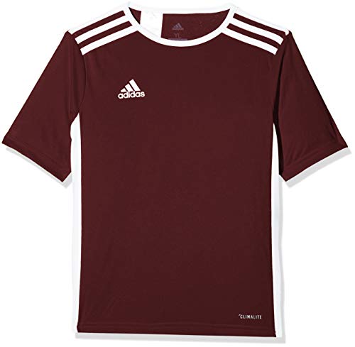 adidas Entrada 18 JSY T-Shirt, Hombre, Maroon/White, L adidas Entrada 18 JSY T-Shirt, Hombre, Maroon/White, L