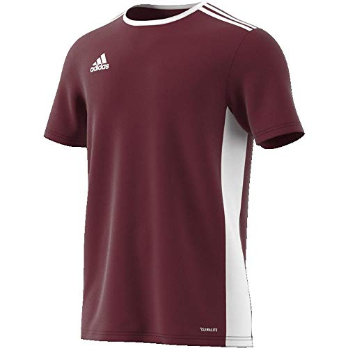 adidas Entrada 18 JSY T-Shirt, Hombre, Maroon/White, L adidas Entrada 18 JSY T-Shirt, Hombre, Maroon/White, L