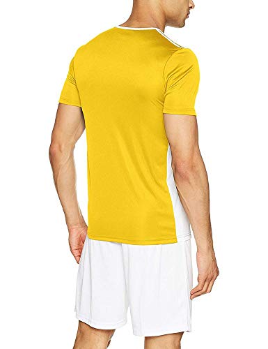 adidas Entrada 18 JSY T-Shirt, Hombre, Yellow/White, M