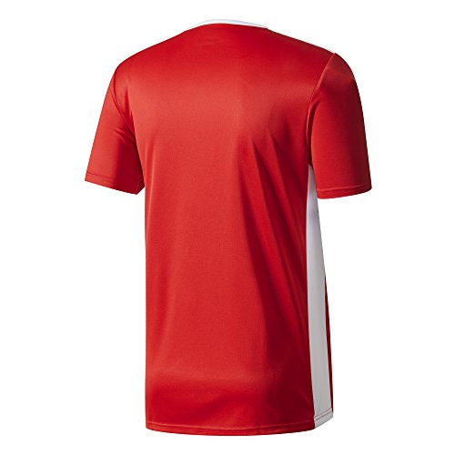 adidas Entrada 51 Camiseta de Fútbol para Hombre de Cuello Redondo en Contraste, Rojo (Power Red/White), M adidas Entrada 51 Camiseta de Fútbol para Hombre de Cuello Redondo en Contraste, Rojo (Power Red/White), M