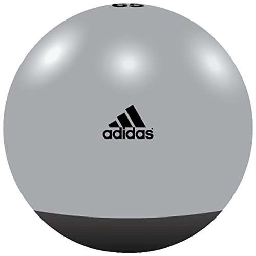 adidas Premium - Pelota para Fitness, Color Negro/Gris, 65 cm