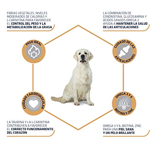 Advance Advance Pienso para Perro Labrador con Pollo - 12000 gr