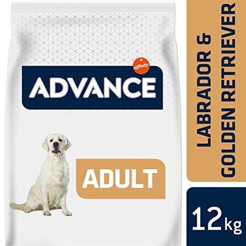 Advance Advance Pienso para Perro Labrador con Pollo - 12000 gr