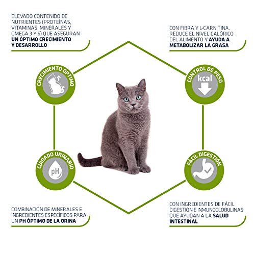 Advance Pienso para Gato Junior Esterilizado con Pollo - 1,5kg Advance Pienso para Gato Junior Esterilizado con Pollo - 1,5kg