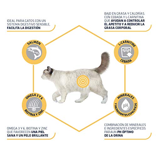 Advance Sensitive Pienso para Gato Esterilizado Adulto con Salmón - 3000 gr Advance Sensitive Pienso para Gato Esterilizado Adulto con Salmón - 3000 gr