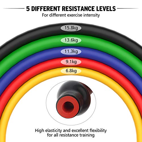 Aerb 16 PCS Bandas Elásticas de Resistencia Set, 5 Bndas de Tubos de Látex, 5 Cintas de Rsisitencia, 2 Asas Duraderas y 2 Correas de Tobillo para Yoga, Deporte, Musculación, Recuperación Aerb 16 PCS Bandas Elásticas de Resistencia Set, 5 Bndas de Tubos de Látex, 5 Cintas de Rsisitencia, 2 Asas Duraderas y 2 Correas de Tobillo para Yoga, Deporte, Musculación, Recuperación