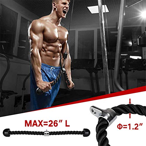 AFF Sistema de Cable de polea de Fitness Longitud Ajustable Gimnasio casero Fácil instalación, para Lat Pull Downs, Flexiones de bíceps, Extensiones de tríceps Fitness Gym Workout