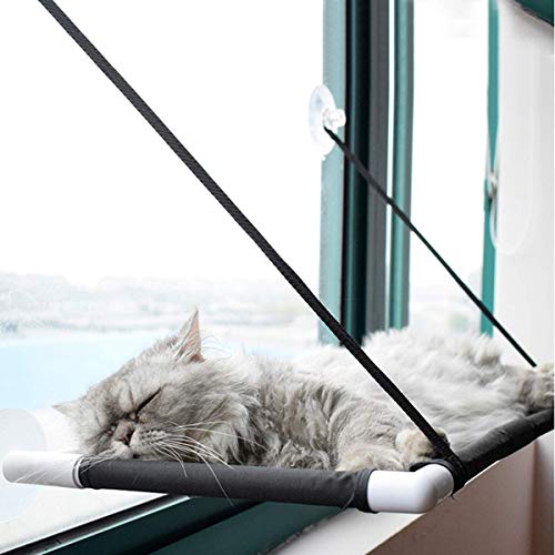 Afufu Ventana de Gato Cama de Hamaca, Cama Hamaca para Gato Estantes de Seguridad para Asientos de Descanso para Mascotas, Grandes para Tomar la Siesta y Tomar el Sol (Soportar hasta 10kg)