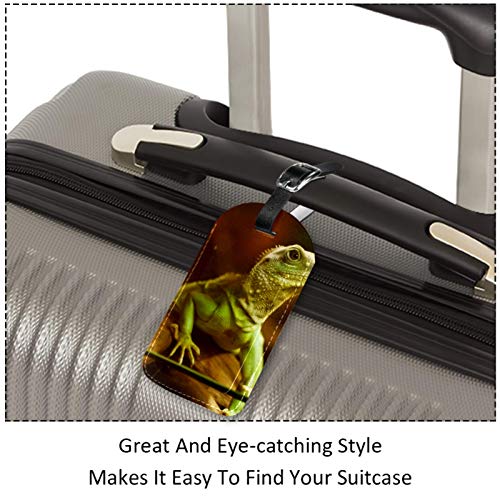 AITAI Etiquetas de equipaje para maletas, diseño de lagarto verde, 2 unidades, para identificación de viaje para bolsas y equipaje. AITAI Etiquetas de equipaje para maletas, diseño de lagarto verde, 2 unidades, para identificación de viaje para bolsas y equipaje.