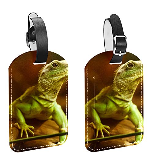 AITAI Etiquetas de equipaje para maletas, diseño de lagarto verde, 2 unidades, para identificación de viaje para bolsas y equipaje. AITAI Etiquetas de equipaje para maletas, diseño de lagarto verde, 2 unidades, para identificación de viaje para bolsas y equipaje.