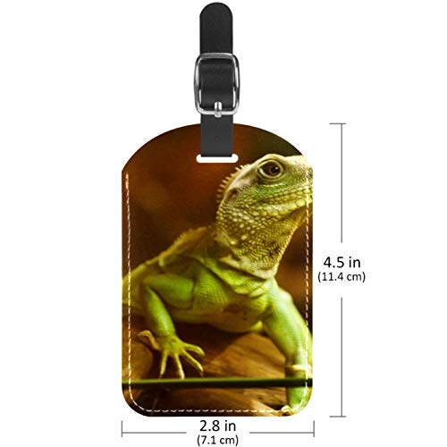 AITAI Etiquetas de equipaje para maletas, diseño de lagarto verde, 2 unidades, para identificación de viaje para bolsas y equipaje. AITAI Etiquetas de equipaje para maletas, diseño de lagarto verde, 2 unidades, para identificación de viaje para bolsas y equipaje.