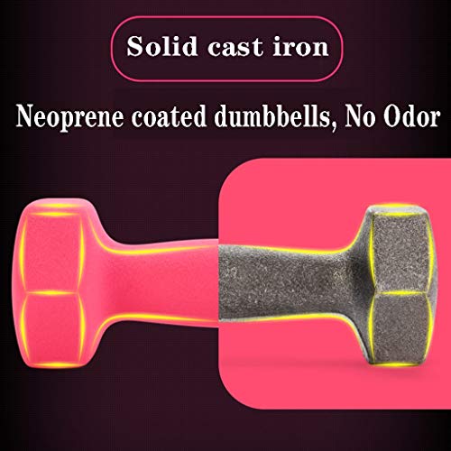 Ajustable Mancuernas de neopreno Mancuernas para mujer Ejercicio en el hogar para damas Niños Brazo Pesas de mano Pilates Bueno para la salud / En 1 kg 2 kg 3 kg 4 kg 5 kg 6 kg 8 kg 10 kg Par Venta Ajustable Mancuernas de neopreno Mancuernas para mujer Ejercicio en el hogar para damas Niños Brazo Pesas de mano Pilates Bueno para la salud / En 1 kg 2 kg 3 kg 4 kg 5 kg 6 kg 8 kg 10 kg Par Venta