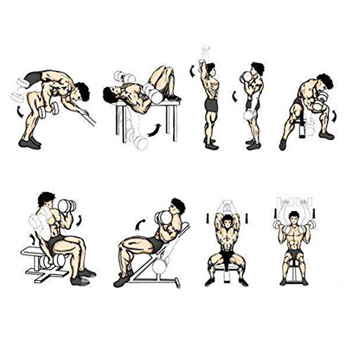 AKT Multifuncional Mancuerna como Barra Pesas para el Hogar Ajustables en Peso Equipo de Entrenamiento Entrenamiento Brazo Músculo Fitness con Funda Protectora de Silicona,10kg AKT Multifuncional Mancuerna como Barra Pesas para el Hogar Ajustables en Peso Equipo de Entrenamiento Entrenamiento Brazo Músculo Fitness con Funda Protectora de Silicona,10kg