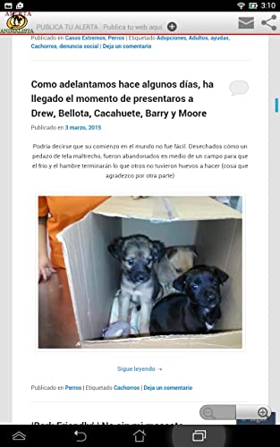 Alerta Animalista