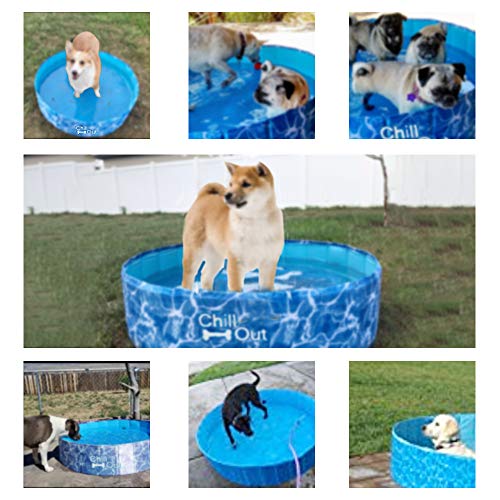 ALL FOR PAWS Piscina exterior extragrande para perros (160 x 30 cm), bañera plegable portátil para mascotas, antideslizante, aprobada por prueba UV, ideal para perros y niños