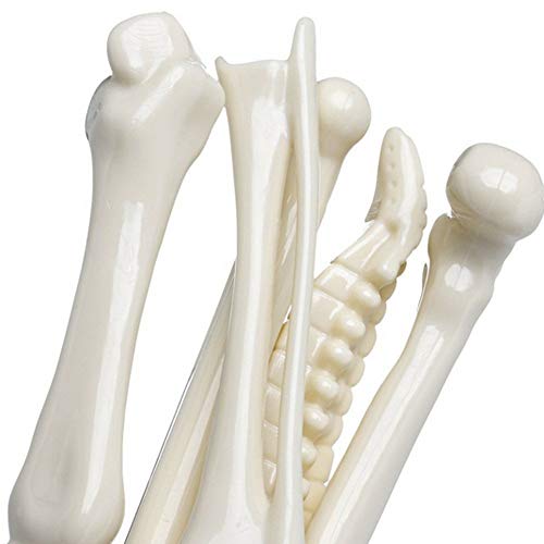 Allbusky Novelty Bone Forma Bolígrafo Bolígrafos 0,7 mm Para Médicos Enfermeras Médicos Regalo Escuela Oficina Papelería (Bone White Set of 5)
