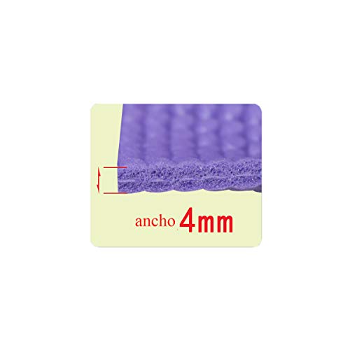 ALLPER Esterilla para Yoga Universal, Multiusos de Alta Densidad, Antideslizante, TAMAÑO: 173 x 61 x 0,4 cm. Color Morado. ALLPER Esterilla para Yoga Universal, Multiusos de Alta Densidad, Antideslizante, TAMAÑO: 173 x 61 x 0,4 cm. Color Morado.