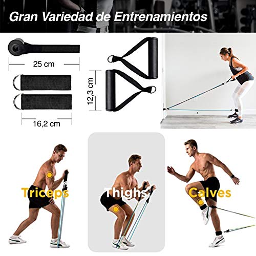 AMAZEAN, Bandas de Resistencia, 11 Piezas Mujeres Hombres Gomas Elásticas Fitness Bandas Glúteos Cintas Elásticas Musculacion Bandas de Ejercicio para Gimnasio en Casa (Rosa)