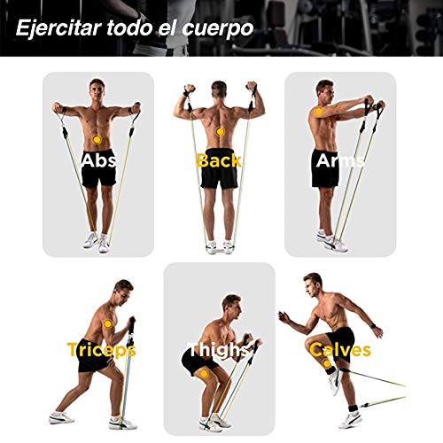 AMAZEAN, Bandas de Resistencia, 12 Piezas Mujeres Hombres Gomas Elásticas Fitness Bandas Glúteos Cintas Elásticas Musculacion Bandas de Ejercicio para Gimnasio en Casa (Azul) AMAZEAN, Bandas de Resistencia, 12 Piezas Mujeres Hombres Gomas Elásticas Fitness Bandas Glúteos Cintas Elásticas Musculacion Bandas de Ejercicio para Gimnasio en Casa (Azul)