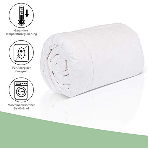 Amazinggirl Edredón nórdico para Todo el año Microfibra, Edredón de Fibra Extra Cálido Hipoalergénico Blanco Hecho Acolchada Cama para niños bebé, 135 x 200 cm Amazinggirl Edredón nórdico para Todo el año Microfibra, Edredón de Fibra Extra Cálido Hipoalergénico Blanco Hecho Acolchada Cama para niños bebé, 135 x 200 cm