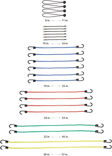 AmazonBasics - Cuerda elástica - Paquete de 24 AmazonBasics - Cuerda elástica - Paquete de 24