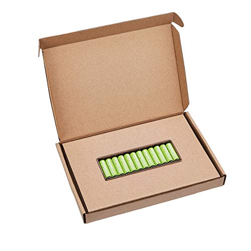 AmazonBasics - Pilas AAA recargables, precargadas, paquete de 12 (el aspecto puede variar)