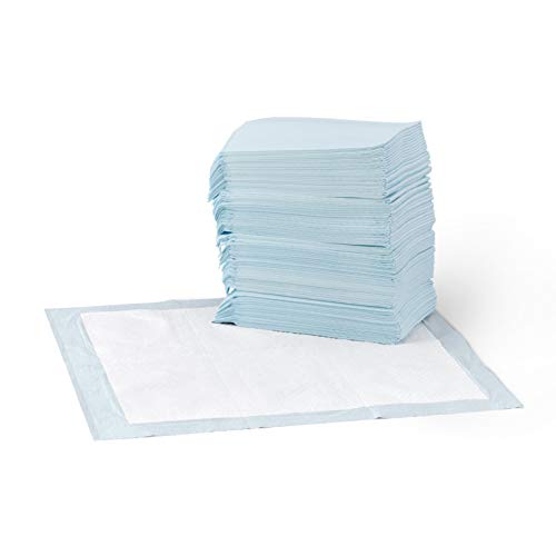 AmazonBasics - Toallitas de entrenamiento para mascotas (tamaño regular, 100 unidades) AmazonBasics - Toallitas de entrenamiento para mascotas (tamaño regular, 100 unidades)