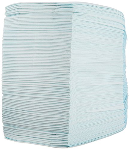 AmazonBasics - Toallitas de entrenamiento para mascotas (tamaño regular, 100 unidades) AmazonBasics - Toallitas de entrenamiento para mascotas (tamaño regular, 100 unidades)