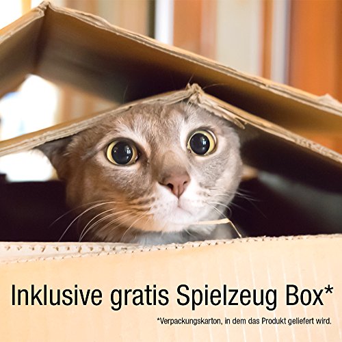 Amazy Bella & Balu Casa para Gatos | Cueva para Gatos Perros- Guarida Plegable para Gato, para Que duerma, se esconda, rasque y mordisquee (Gris Claro)