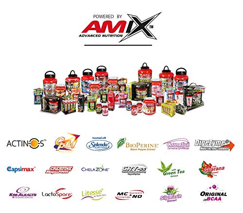 Amix Glutamina+Bcaa 300 Gr Frutas Del Bosque 0.3 300 g