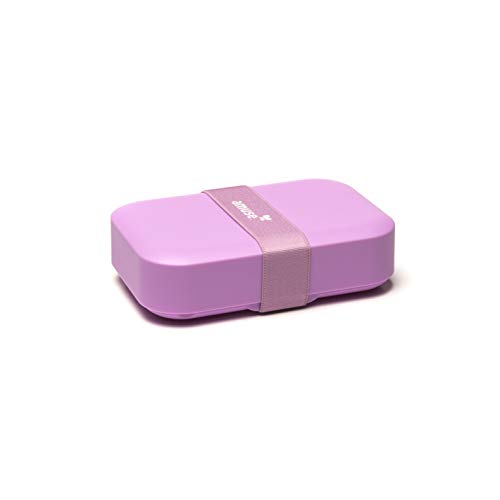 Amuse Fiambrera de tamaño compacto para mochilas escolares y tornister, fiambrera para niños, de plástico, 18,5 x 12,5 x 5 cm Amuse Fiambrera de tamaño compacto para mochilas escolares y tornister, fiambrera para niños, de plástico, 18,5 x 12,5 x 5 cm